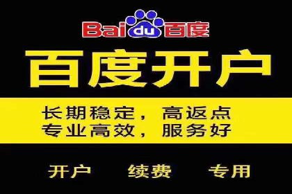 提升网站流量：SEO在百度推广的实战案例
