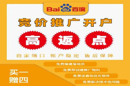 SEM托管公司案例分析：实战技巧全解析